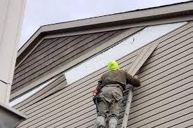 Best Steel Siding Installation  in Mount Clemens, MI